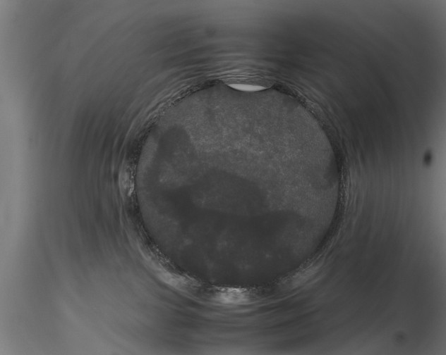 X0000116120091200912141055