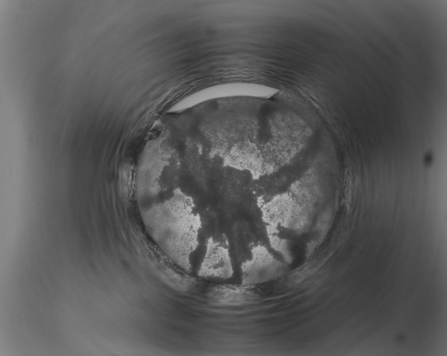 X0000116120093200912141055