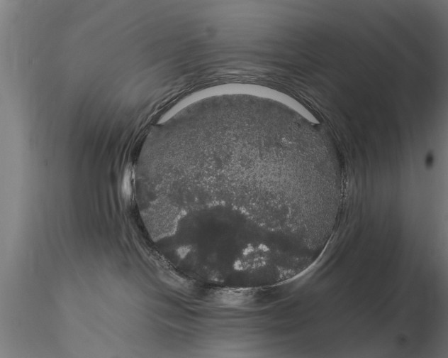X0000116120094200912141055