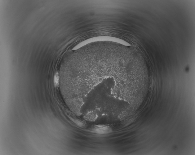 X0000116120095200912141055