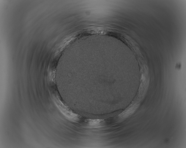 X0000116120096200912141055