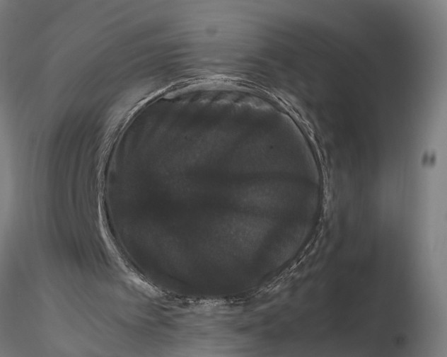 X0000116120097200912141054