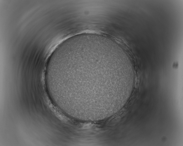 X0000116120098200912141054