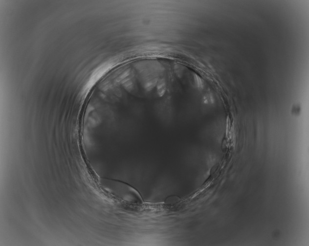 X0000116120099200912141054