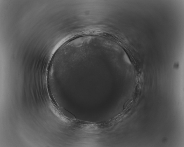 X0000116120100200912141054