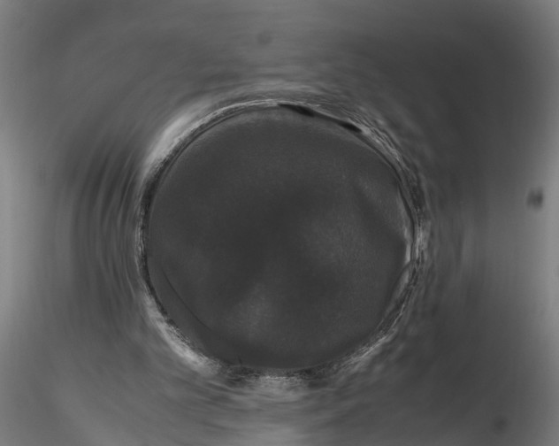 X0000116120101200912141054