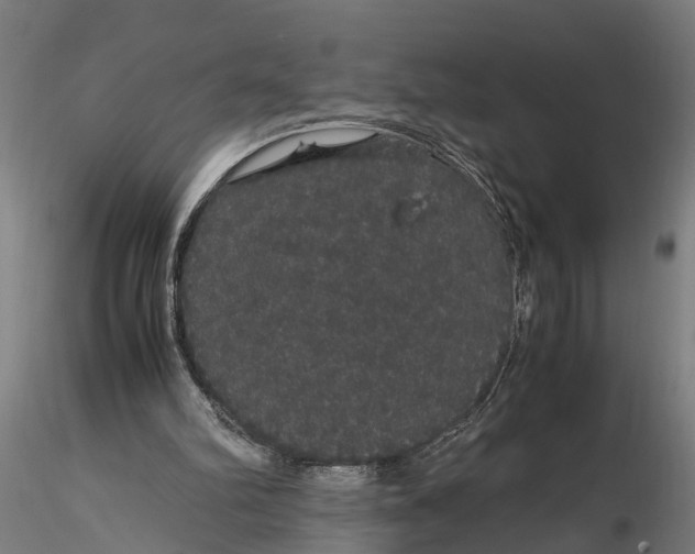 X0000116120102200912141054