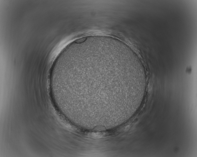 X0000116120103200912141054