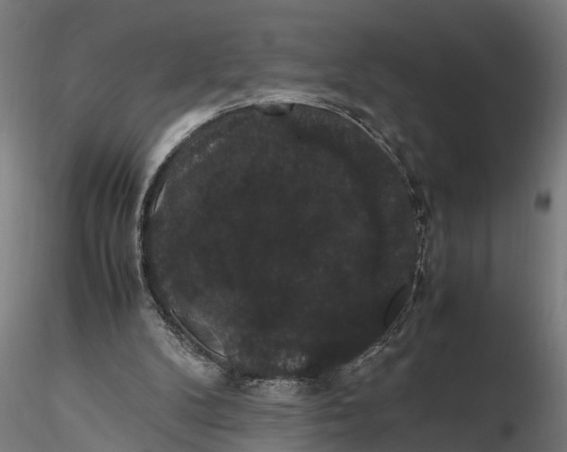 X0000116120104200912141054