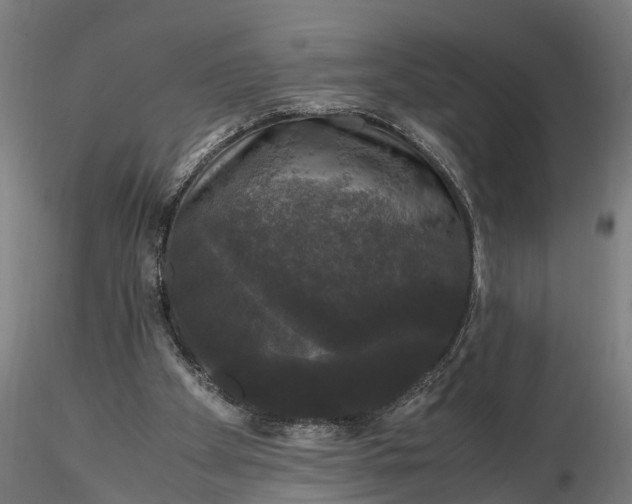 X0000116120105200912141054