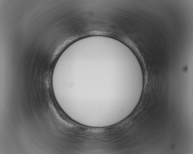 X0000116120106200912141054