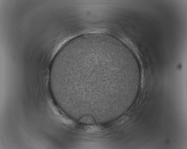 X0000116120107200912141054