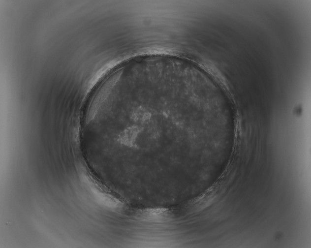 X0000116120108200912141054
