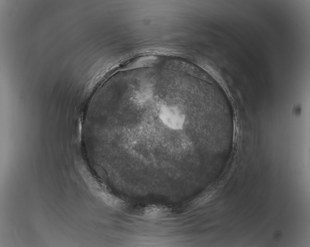 X0000116120109200912141054
