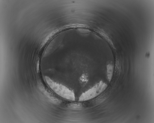 X0000116120110200912141054
