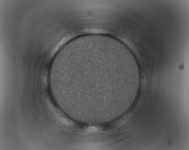 X0000116120111200912141054