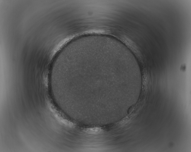 X0000116120112200912141054