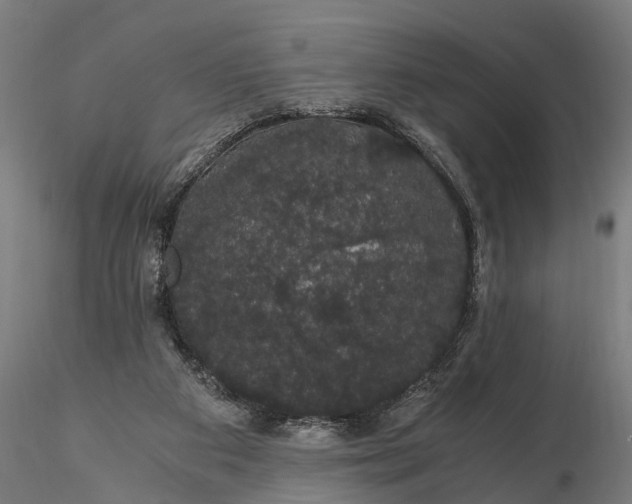 X0000116120113200912141054
