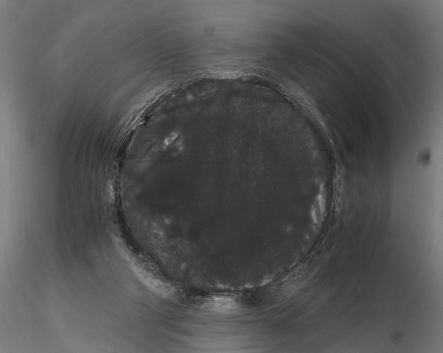 X0000116120114200912141054