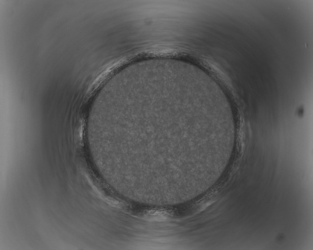 X0000116120115200912141054