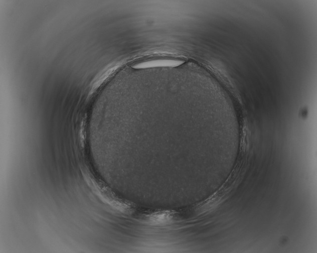 X0000116120116200912141054
