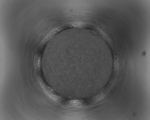 X0000116120117200912141054