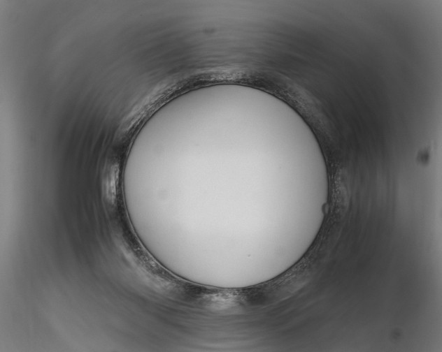 X0000116120118200912141054