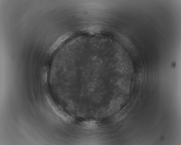 X0000116120120200912141054
