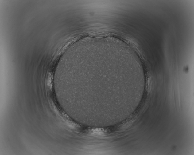 X0000116120121200912141054