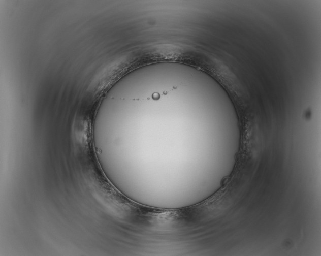 X0000116120122200912141054