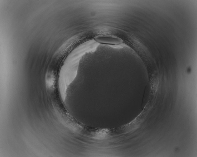 X0000116120124200912141054