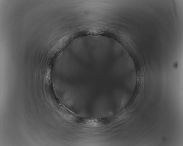 X0000116120127200912141054