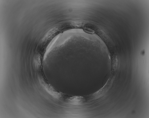 X0000116120128200912141054