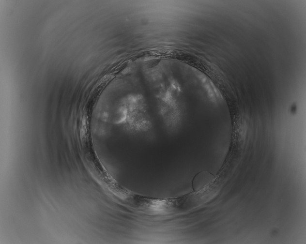 X0000116120130200912141054