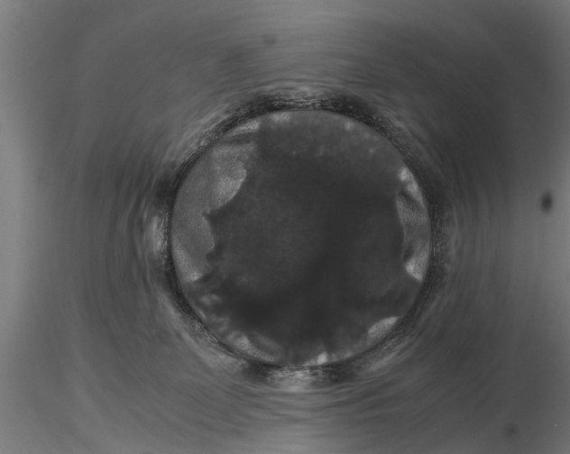 X0000116120131200912141054