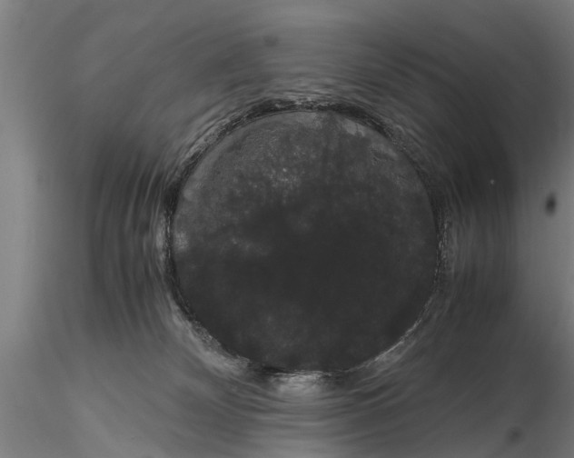 X0000116120132200912141054