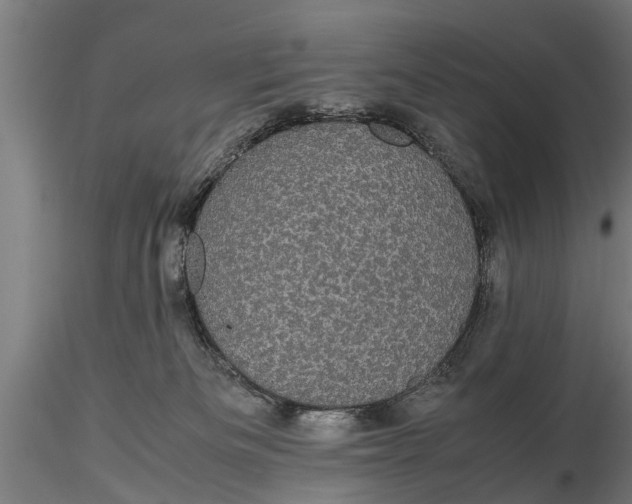 X0000116120133200912141054