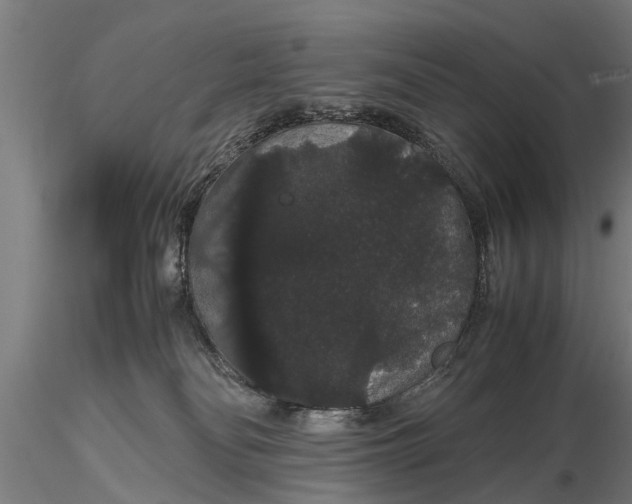 X0000116120134200912141054