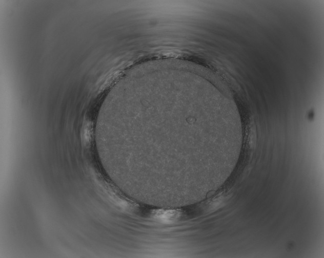 X0000116120135200912141054