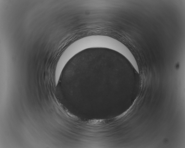 X0000116120136200912141054