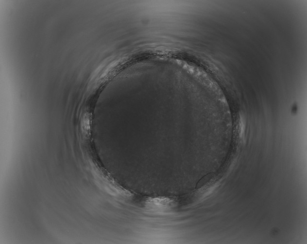 X0000116120137200912141054