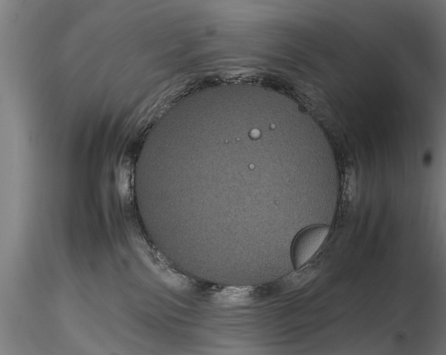 X0000116120138200912141054