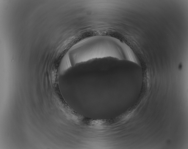 X0000116120139200912141054