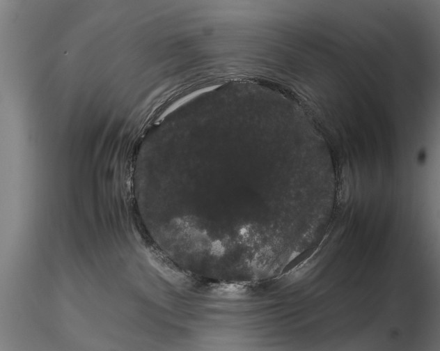 X0000116120140200912141054