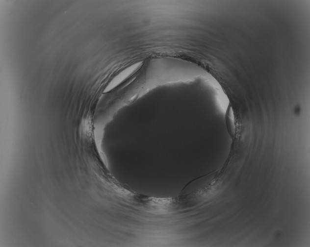 X0000116120143200912141054