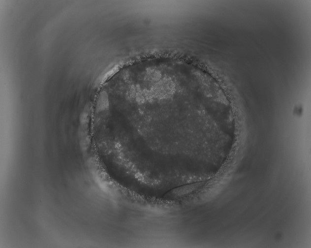 X0000116120144200912141054