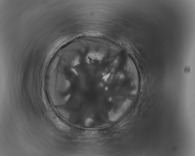 X0000116120145200912141053