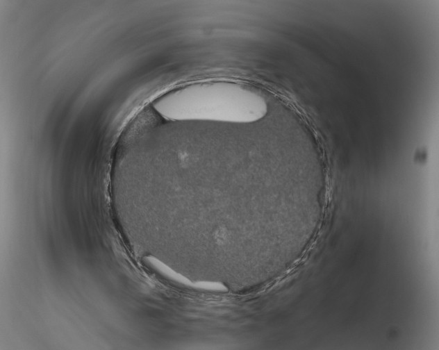 X0000116120146200912141053