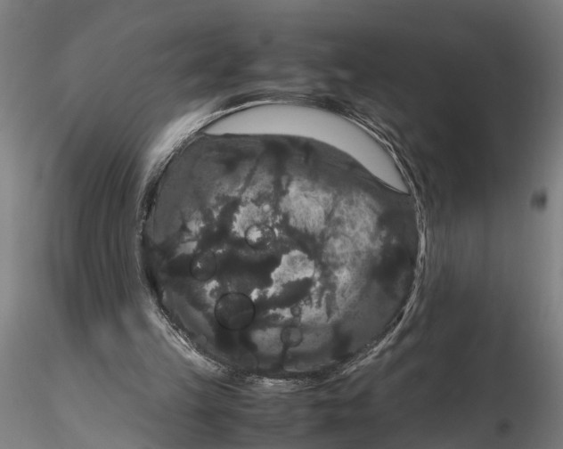 X0000116120149200912141053