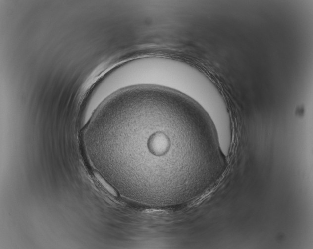 X0000116120150200912141053